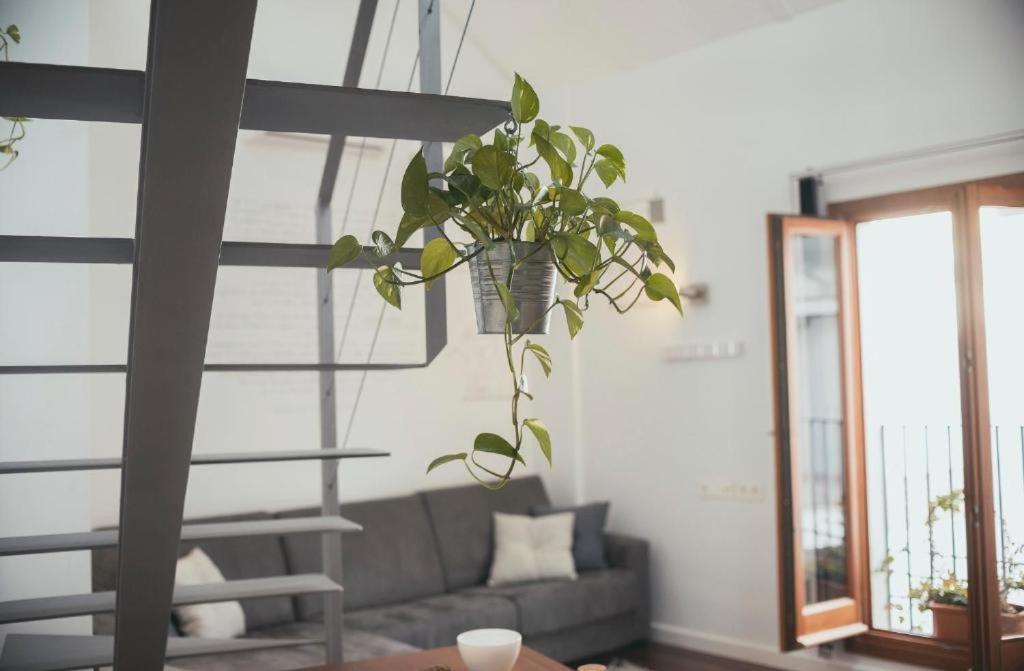 Trigo Homes コルドバ エクステリア 写真
